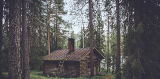 Nieruchomości na rynku