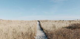 Noclegi pod namiotami