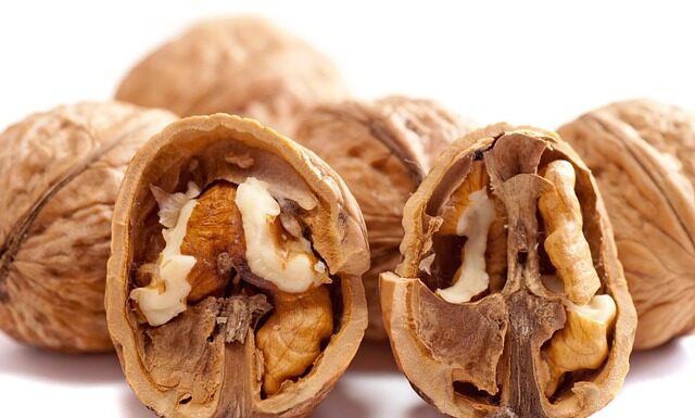 Czego nie sadzić obok orzecha włoskiego?