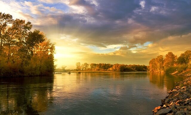 Czy liście są dobrym nawozem?