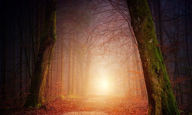 Co zrobić aby zmniejszyć rachunki za ogrzewanie?