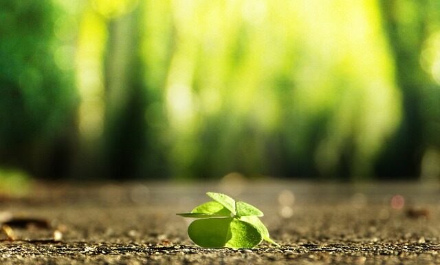 Jak znaleźć żyle wodna na działce?