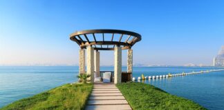 O co chodzi z AdBlue?