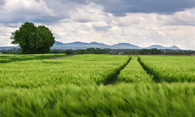 Jaki rozstaw śrub Honda Accord VII?