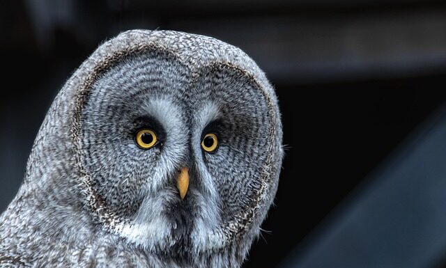 Jak sprawdzić siłę ssania odkurzacza?