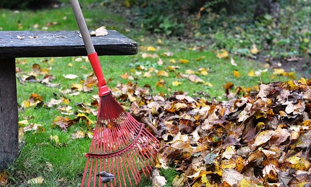 Jak najlepiej grabić liście?