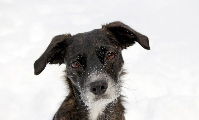 Jak naprawić kurek w kranie?