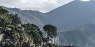 Ile kosztuje przejechanie 100 km na gazie?