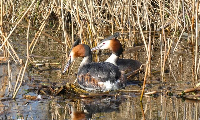Ile może być gniazd odkurzacza centralnego?