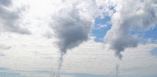 Czym wyłożyć chłodnię?